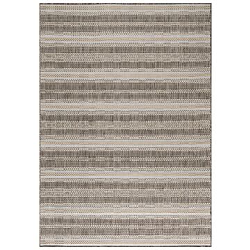 Sunny Faye alfombra interior/exterior corredor 80x250cm beige